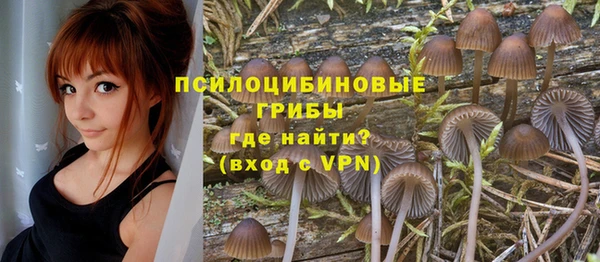 стафф Армянск
